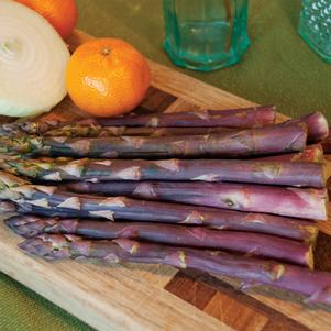 Asparagus 'Purple Passion'