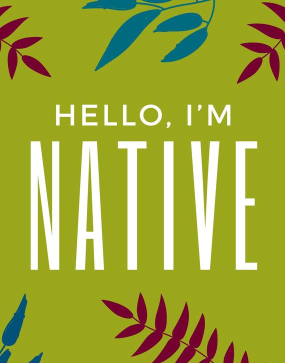 Native Bench Card Downloads