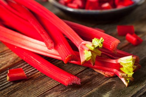 Rhubarb Crimson Cherry from Growing Colors