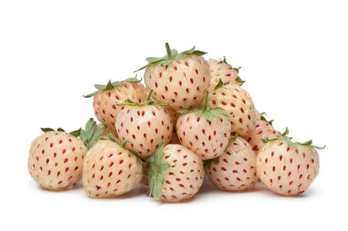 Strawberry hybrid 'Pineberry'