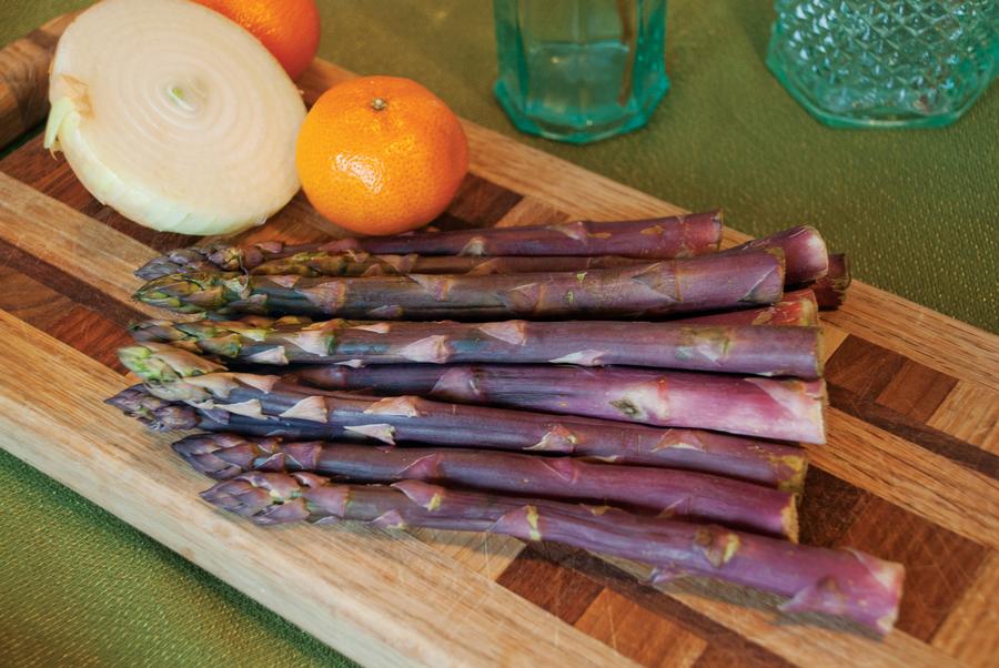 Asparagus 'Purple Passion'