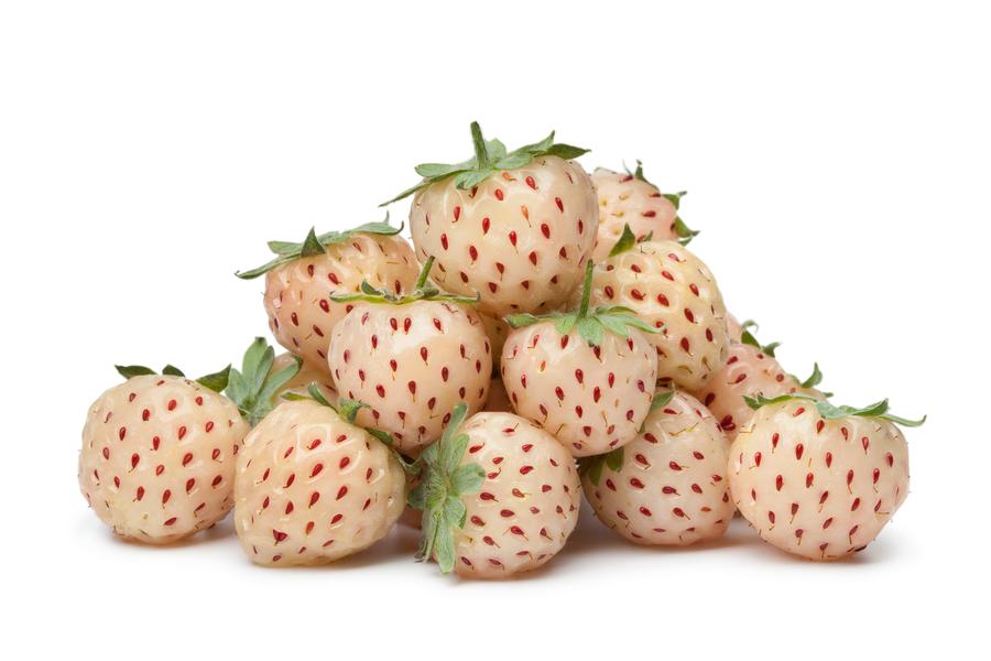 Strawberry 'Flamingo'
