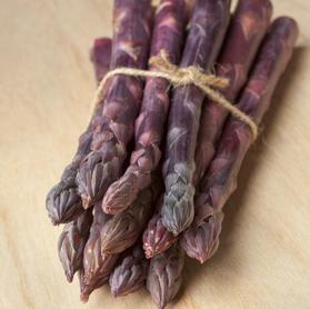 Asparagus 'Sweet Purple'