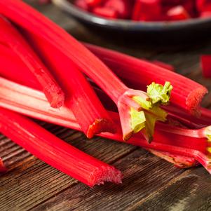 Rhubarb 'Crimson Cherry'