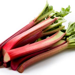 Rhubarb 'Victoria'