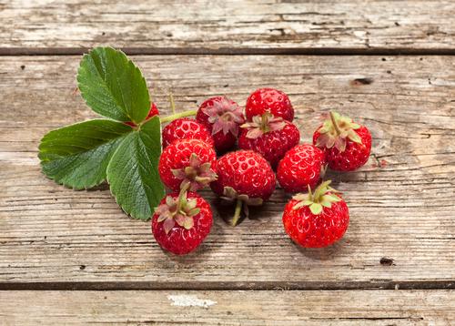 Strawberry hybrid 'Raspyberry'